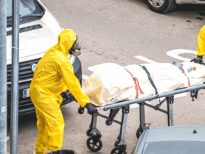 pulizia post mortem Bologna